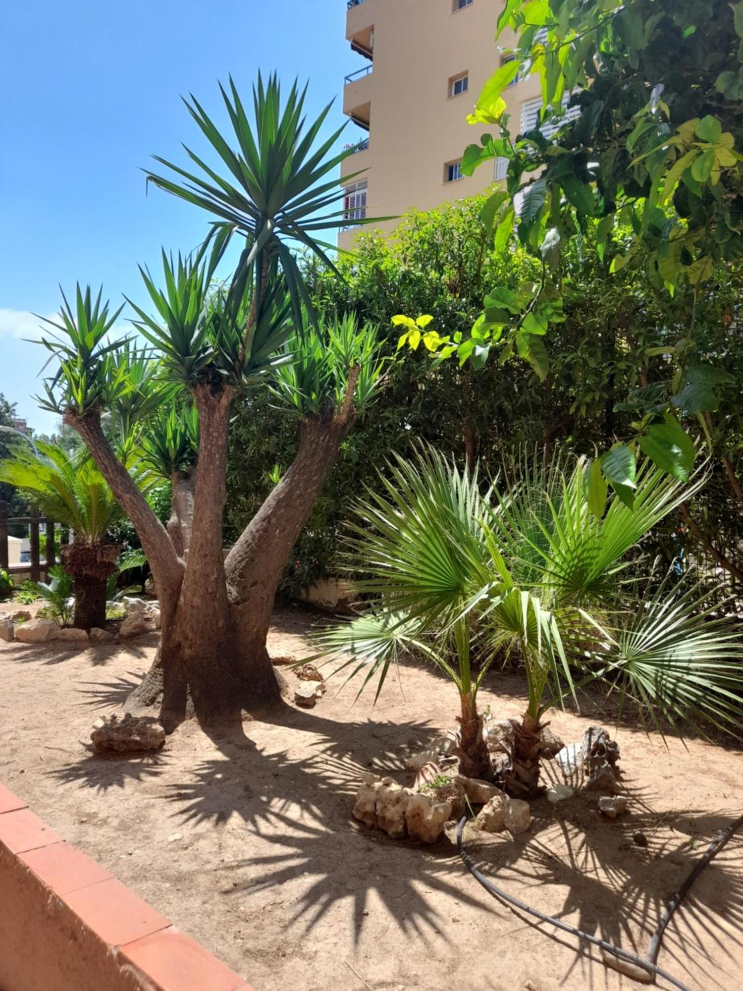 Torremolinos Centro Beach Apartment Екстериор снимка